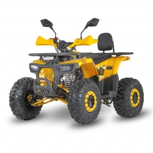 OFF ROAD 125CC ATV QUADS FOR CHILREN SL125X3