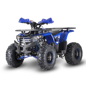 CE CERTIFICATE ATV125CC 110CC SL125X2