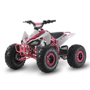 RACING STYLE 125CC ATV QUAD BIKE SL125B