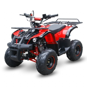 GAS QUAD 110CC 7INCH SL110G