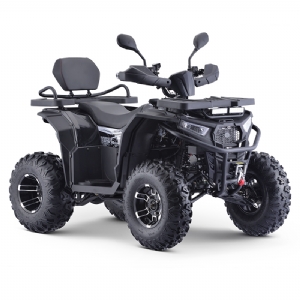 CVT ADULT ATV QUADS NEW DESIGN 200CC(AT230)