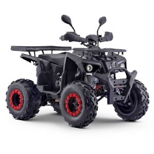 GAS QUADS BIKE 200CC FOR ADULT( AW200)