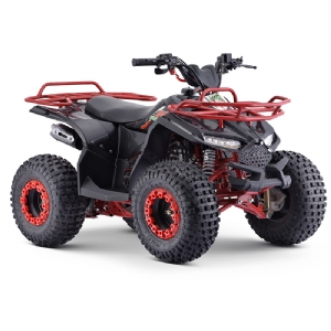 GAS QUAD CHILDREN ATV 110CC